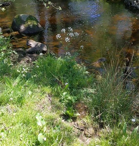 Acorn Cottage, Holiday Cottage near Bolton Abbey