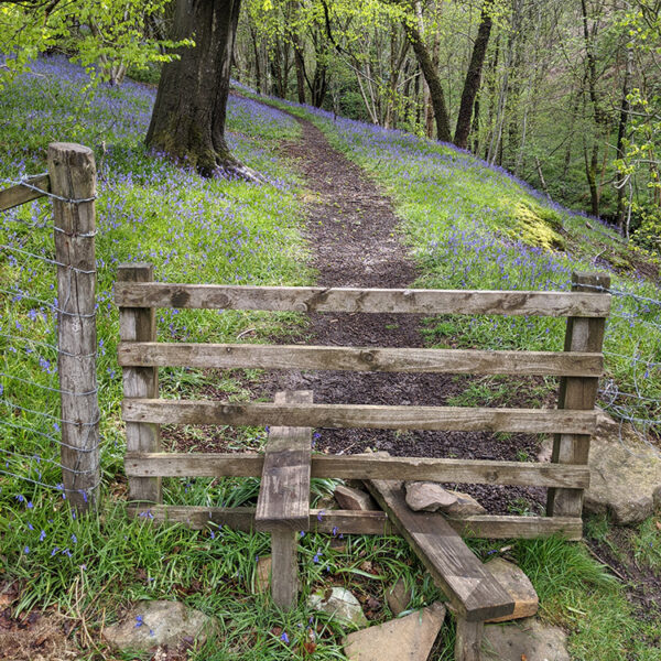 Acorn Cottage, Holiday Cottage near Bolton Abbey